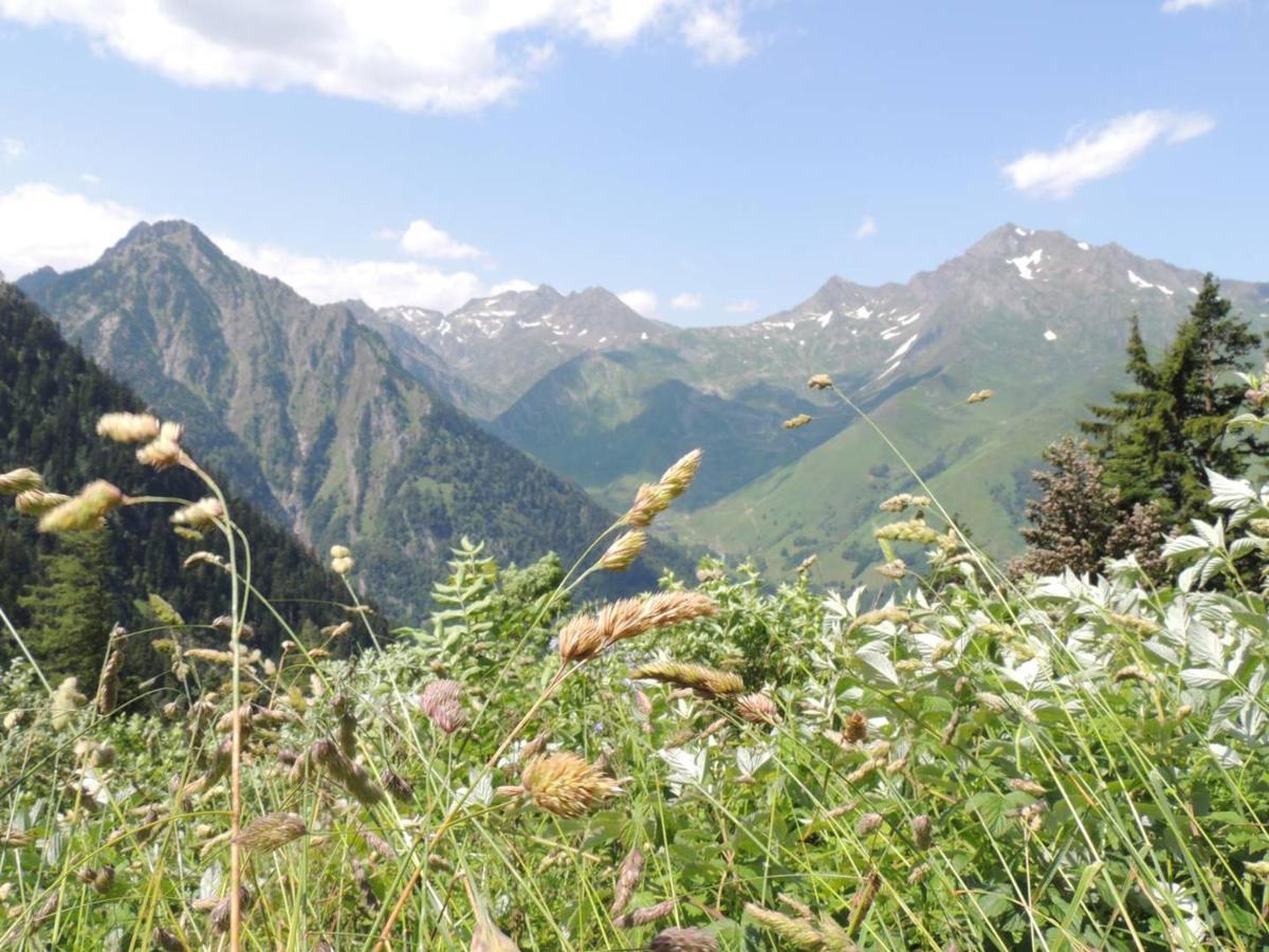 Appartement Cauterets, 3 pièces, 8 personnes - FR-1-234-78 Extérieur photo